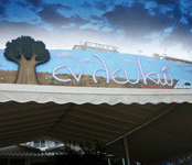 διακόσμηση ταβέρνας